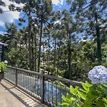 Araucaria Lodge