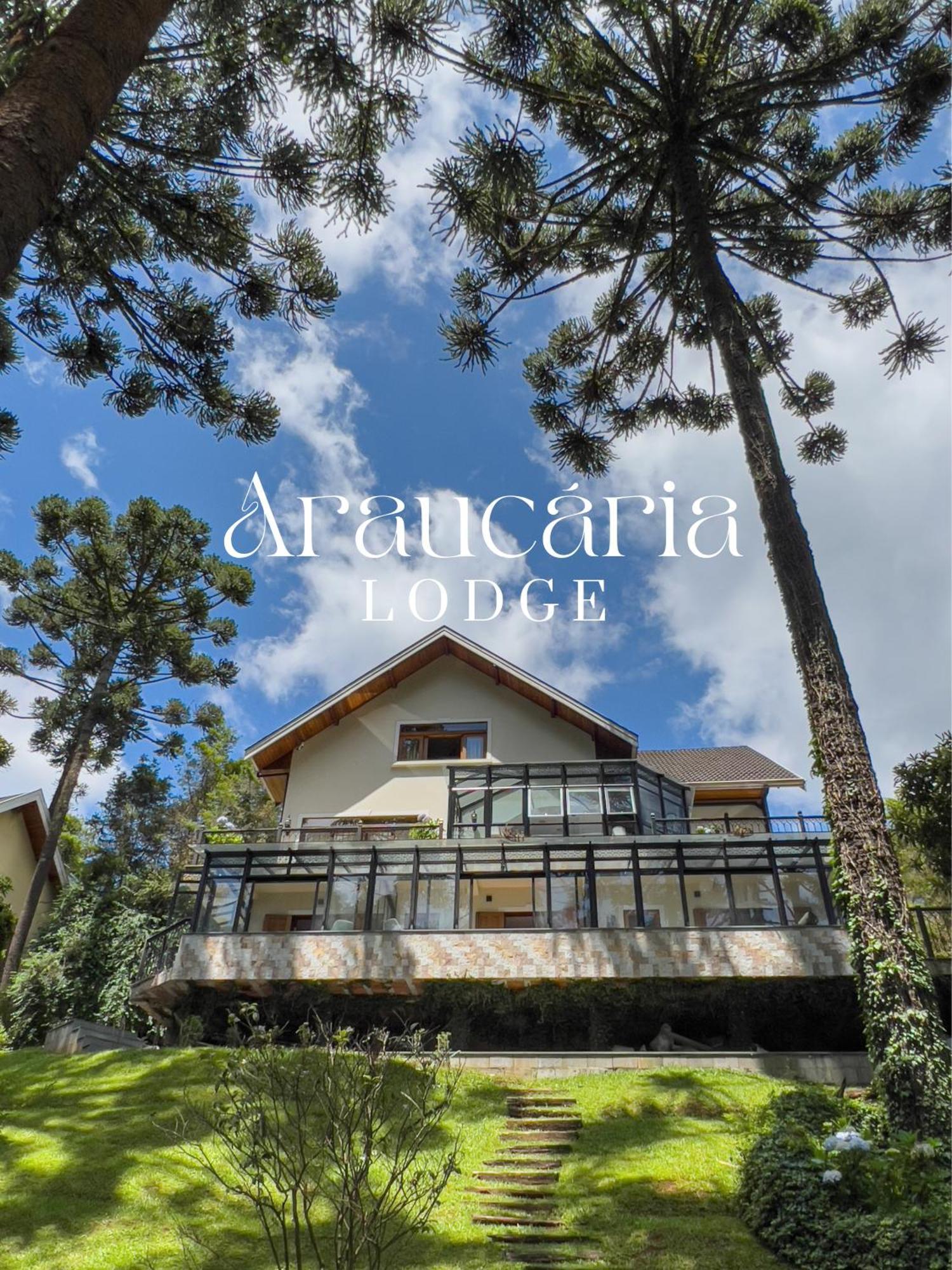 Araucaria Campos do Jordão