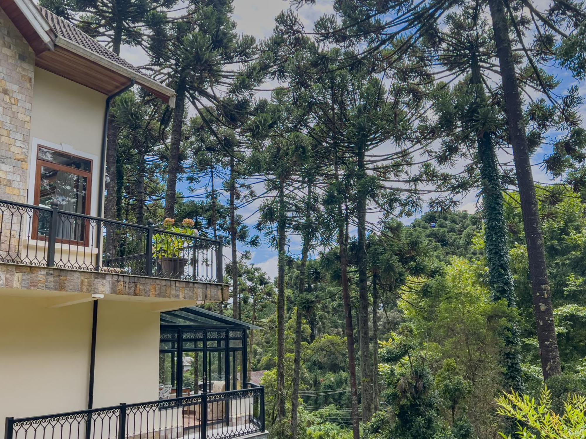 Hotel Araucaria 4*