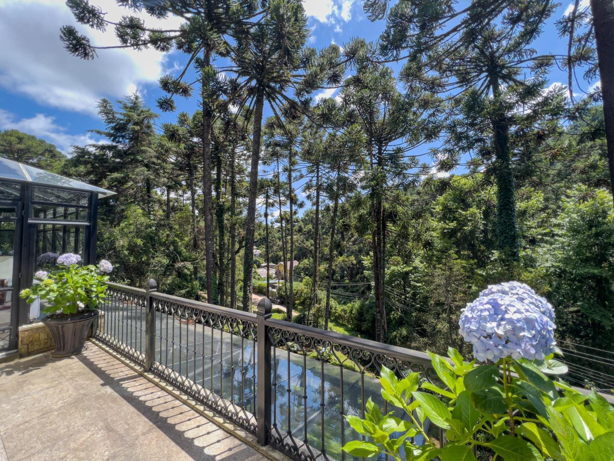Araucaria Hotel Campos do Jordão