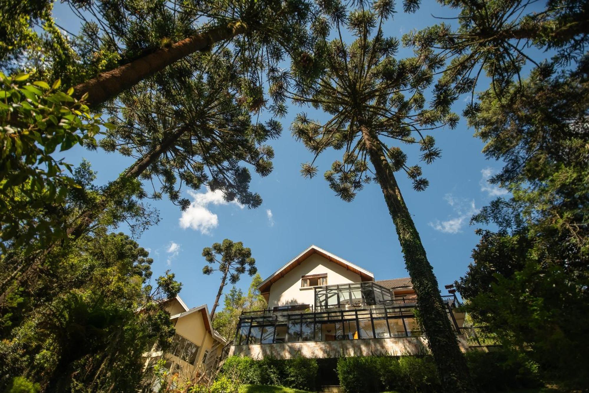 Hotel Araucaria