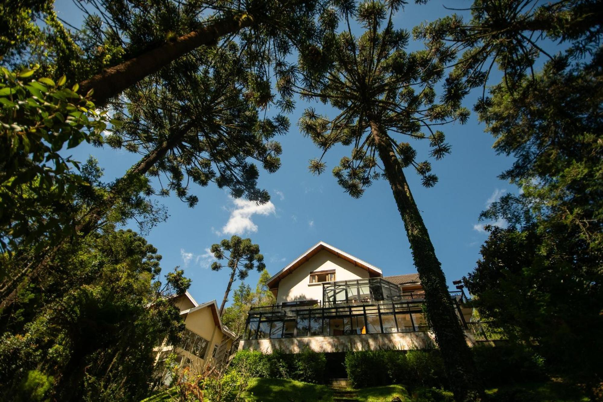 Araucaria Hotel 4*